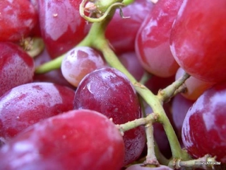 Üzüm Türleri Nelerdir?